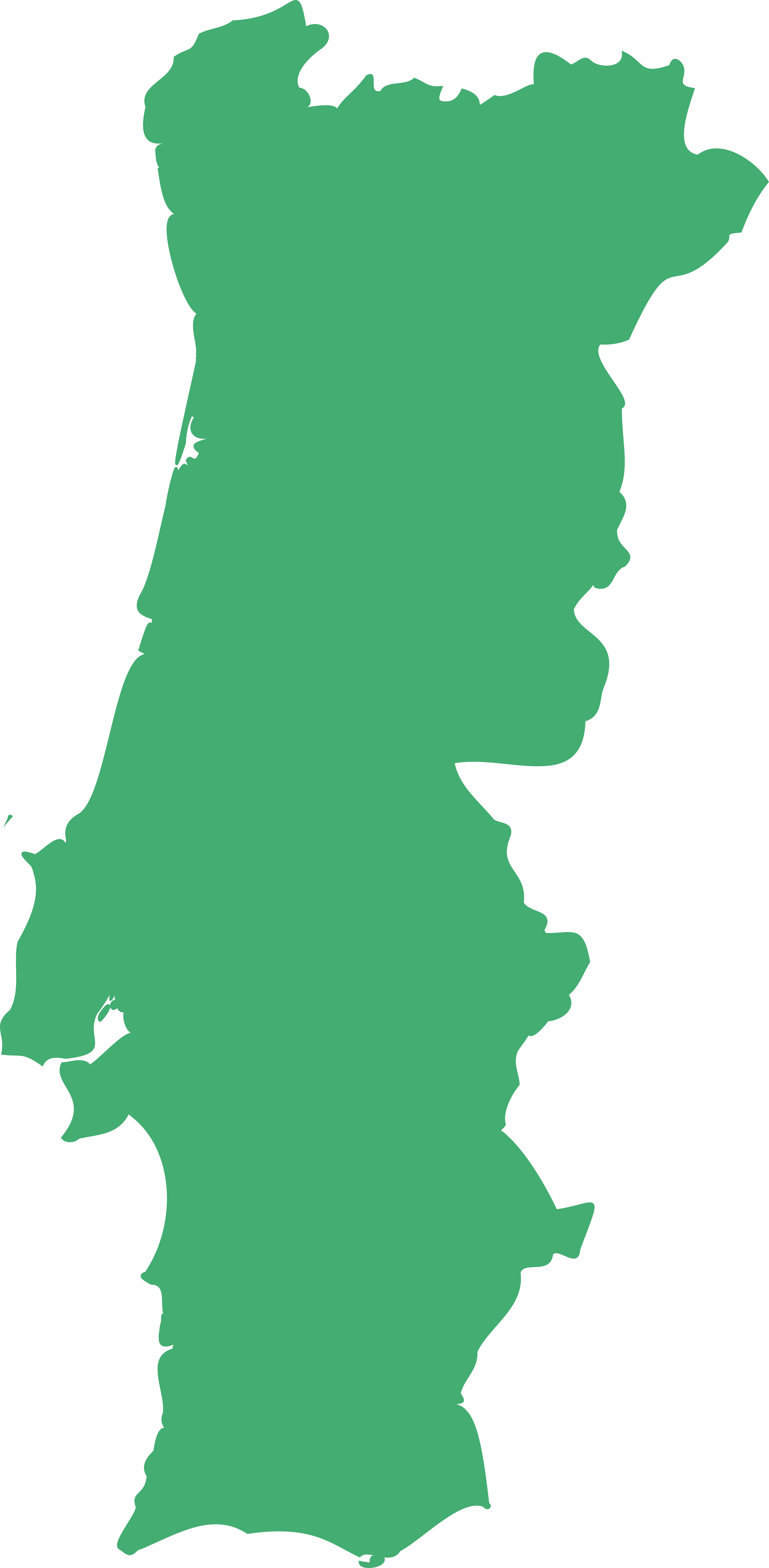 Mapa de Portugal com cor verde
